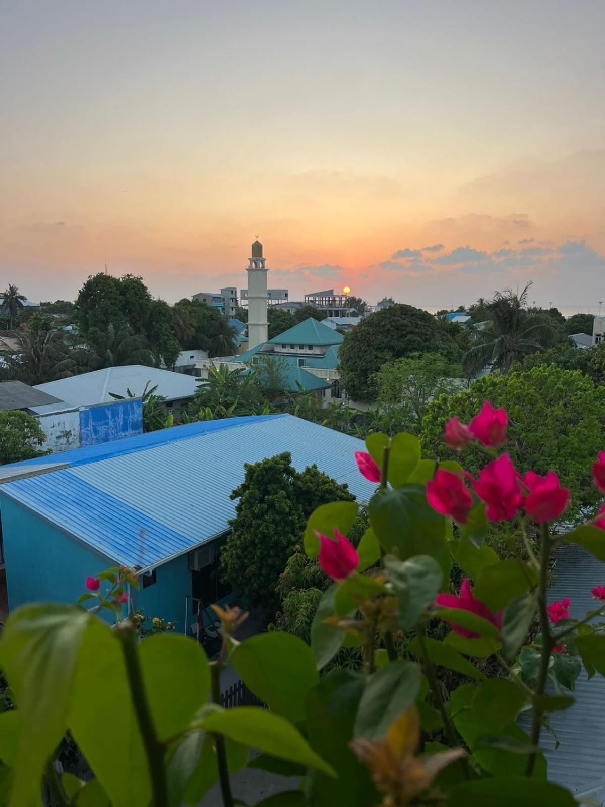 Wish Guesthouse آورا المظهر الخارجي الصورة